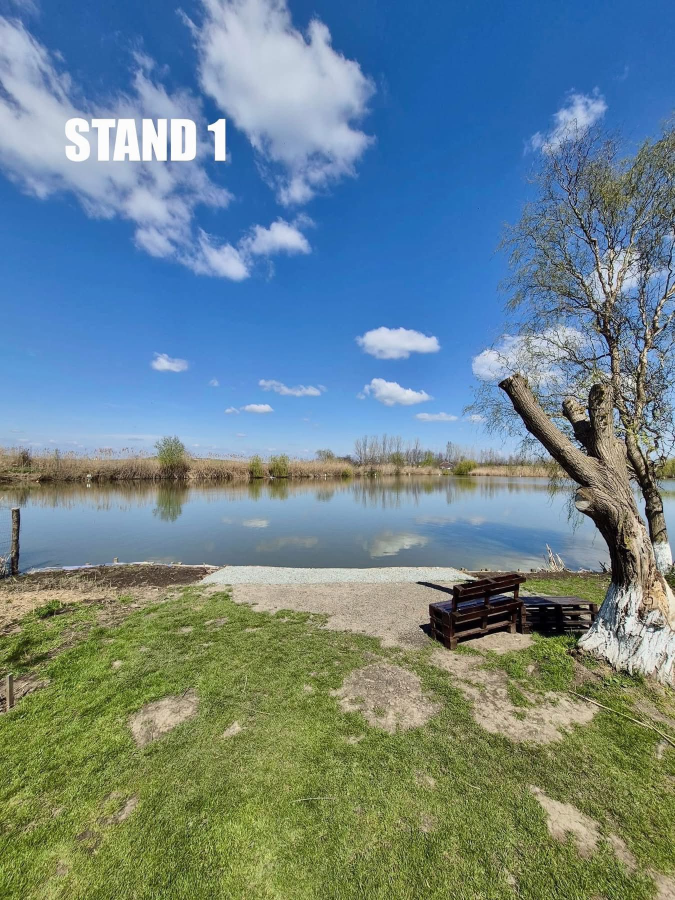 Imagine Stand